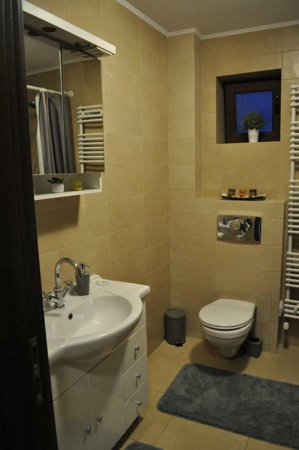 Sleep & Fly Apartment Otopeni Extérieur photo